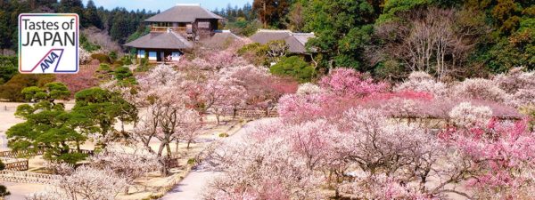 日本三名園について調べてみた。